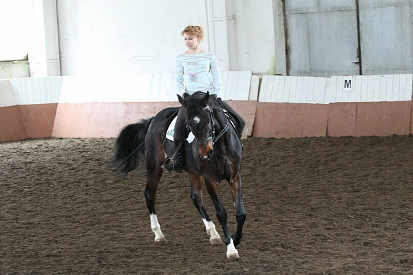 Обучение верховой езде в Кирове. Сервис Ultra Подарки. Купить обучение верховой езде в Кирове. Вы сможете попробовать курс по верховой езде и конные прогулки. Сервис UltraPodarki.ru 8 800 505 95 30. Обучение верховой езде, верховая езда в Кирове, верховая езда Киров, конный спорт, уроки верховой езды, школа верховой езды, конные прогулки, верховая езда, школа верховой езды в Кирове, конные прогулки в Кирове, обучение верховой езде в Кирове, конный спорт в Кирове, уроки верховой езды в Кирове