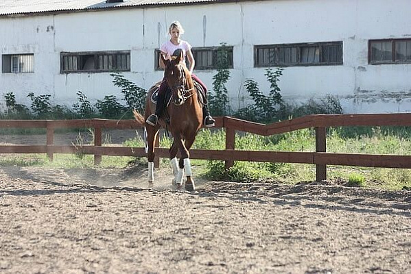 Обучение верховой езде в Кирове. Сервис Ultra Подарки. Купить обучение верховой езде в Кирове. Вы сможете попробовать курс по верховой езде и конные прогулки. Сервис UltraPodarki.ru 8 800 505 95 30. Обучение верховой езде, верховая езда в Кирове, верховая езда Киров, конный спорт, уроки верховой езды, школа верховой езды, конные прогулки, верховая езда, школа верховой езды в Кирове, конные прогулки в Кирове, обучение верховой езде в Кирове, конный спорт в Кирове, уроки верховой езды в Кирове