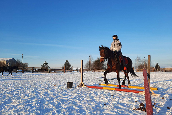 Обучение верховой езде в Кирове. Сервис Ultra Подарки. Купить обучение верховой езде в Кирове. Вы сможете попробовать курс по верховой езде и конные прогулки. Сервис UltraPodarki.ru 8 800 505 95 30. Обучение верховой езде, верховая езда в Кирове, верховая езда Киров, конный спорт, уроки верховой езды, школа верховой езды, конные прогулки, верховая езда, школа верховой езды в Кирове, конные прогулки в Кирове, обучение верховой езде в Кирове, конный спорт в Кирове, уроки верховой езды в Кирове