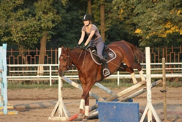 Обучение верховой езде в Кирове. Сервис Ultra Подарки. Купить обучение верховой езде в Кирове. Вы сможете попробовать курс по верховой езде и конные прогулки. Сервис UltraPodarki.ru 8 800 505 95 30. Обучение верховой езде, верховая езда в Кирове, верховая езда Киров, конный спорт, уроки верховой езды, школа верховой езды, конные прогулки, верховая езда, школа верховой езды в Кирове, конные прогулки в Кирове, обучение верховой езде в Кирове, конный спорт в Кирове, уроки верховой езды в Кирове