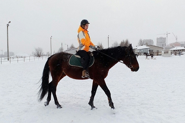 Обучение верховой езде в Кирове. Сервис Ultra Подарки. Купить обучение верховой езде в Кирове. Вы сможете попробовать курс по верховой езде и конные прогулки. Сервис UltraPodarki.ru 8 800 505 95 30. Обучение верховой езде, верховая езда в Кирове, верховая езда Киров, конный спорт, уроки верховой езды, школа верховой езды, конные прогулки, верховая езда, школа верховой езды в Кирове, конные прогулки в Кирове, обучение верховой езде в Кирове, конный спорт в Кирове, уроки верховой езды в Кирове