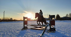 Обучение верховой езде