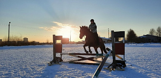 Обучение верховой езде