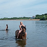 Конная прогулка для двоих в Кирове. Подарочные сертификаты Ultra Подарки. Купить оригинальный подарок или подарочный сертификат на Конную прогулку для двоих в Кирове. Сервис UltraPodarki.ru 8-800-505-9530. Катание на лошадях, Прогулка на лошади, Прогулка на лошадях для двоих, КАЗАЧКА, конный клуб, Конный клуб, конная прогулка, конная прогулка в Кирове
