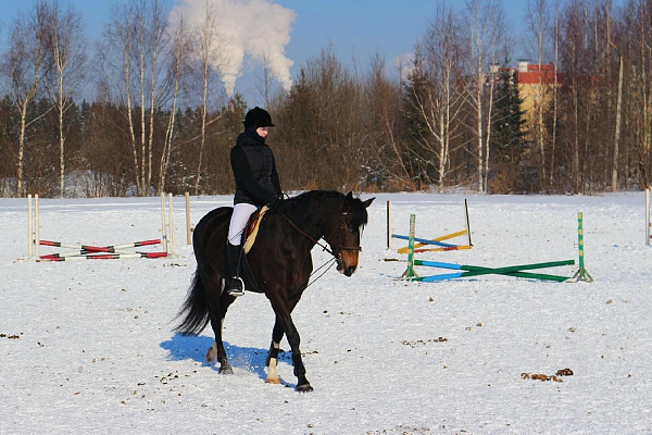 Обучение верховой езде в Кирове. Сервис Ultra Подарки. Купить обучение верховой езде в Кирове. Вы сможете попробовать курс по верховой езде и конные прогулки. Сервис UltraPodarki.ru 8 800 505 95 30. Обучение верховой езде, верховая езда в Кирове, верховая езда Киров, конный спорт, уроки верховой езды, школа верховой езды, конные прогулки, верховая езда, школа верховой езды в Кирове, конные прогулки в Кирове, обучение верховой езде в Кирове, конный спорт в Кирове, уроки верховой езды в Кирове