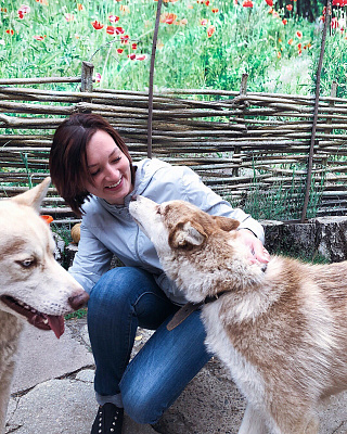 Катание на хаски в Кирове. Ultra Подарки. Катание на хаски в Кирове. Попробуйте Катание на хаски. Сервис: UltraPodarki.ru 8 800 505 95 30. Катание на хаски Киров, Катание на хаски в Кирове, хаски, животные в Кирове, 