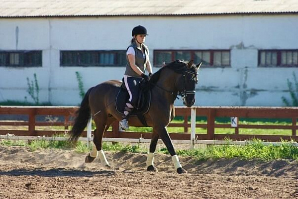 Обучение верховой езде в Кирове. Сервис Ultra Подарки. Купить обучение верховой езде в Кирове. Вы сможете попробовать курс по верховой езде и конные прогулки. Сервис UltraPodarki.ru 8 800 505 95 30. Обучение верховой езде, верховая езда в Кирове, верховая езда Киров, конный спорт, уроки верховой езды, школа верховой езды, конные прогулки, верховая езда, школа верховой езды в Кирове, конные прогулки в Кирове, обучение верховой езде в Кирове, конный спорт в Кирове, уроки верховой езды в Кирове