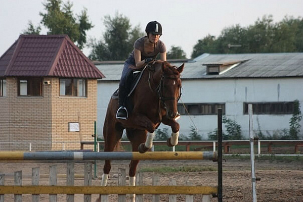 Обучение верховой езде в Кирове. Сервис Ultra Подарки. Купить обучение верховой езде в Кирове. Вы сможете попробовать курс по верховой езде и конные прогулки. Сервис UltraPodarki.ru 8 800 505 95 30. Обучение верховой езде, верховая езда в Кирове, верховая езда Киров, конный спорт, уроки верховой езды, школа верховой езды, конные прогулки, верховая езда, школа верховой езды в Кирове, конные прогулки в Кирове, обучение верховой езде в Кирове, конный спорт в Кирове, уроки верховой езды в Кирове