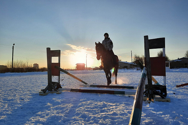 Обучение верховой езде в Кирове. Сервис Ultra Подарки. Купить обучение верховой езде в Кирове. Вы сможете попробовать курс по верховой езде и конные прогулки. Сервис UltraPodarki.ru 8 800 505 95 30. Обучение верховой езде, верховая езда в Кирове, верховая езда Киров, конный спорт, уроки верховой езды, школа верховой езды, конные прогулки, верховая езда, школа верховой езды в Кирове, конные прогулки в Кирове, обучение верховой езде в Кирове, конный спорт в Кирове, уроки верховой езды в Кирове