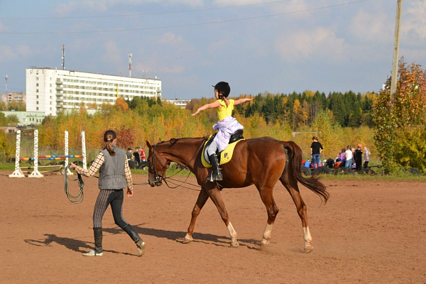 Обучение верховой езде в Кирове. Сервис Ultra Подарки. Купить обучение верховой езде в Кирове. Вы сможете попробовать курс по верховой езде и конные прогулки. Сервис UltraPodarki.ru 8 800 505 95 30. Обучение верховой езде, верховая езда в Кирове, верховая езда Киров, конный спорт, уроки верховой езды, школа верховой езды, конные прогулки, верховая езда, школа верховой езды в Кирове, конные прогулки в Кирове, обучение верховой езде в Кирове, конный спорт в Кирове, уроки верховой езды в Кирове