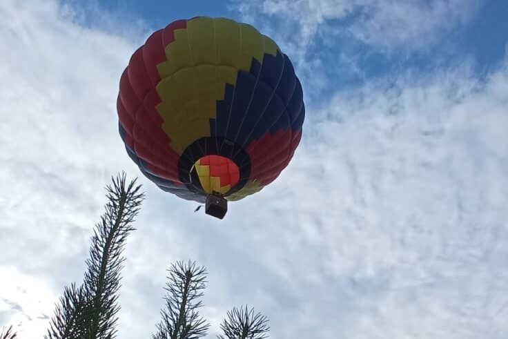 полет шара над лесом